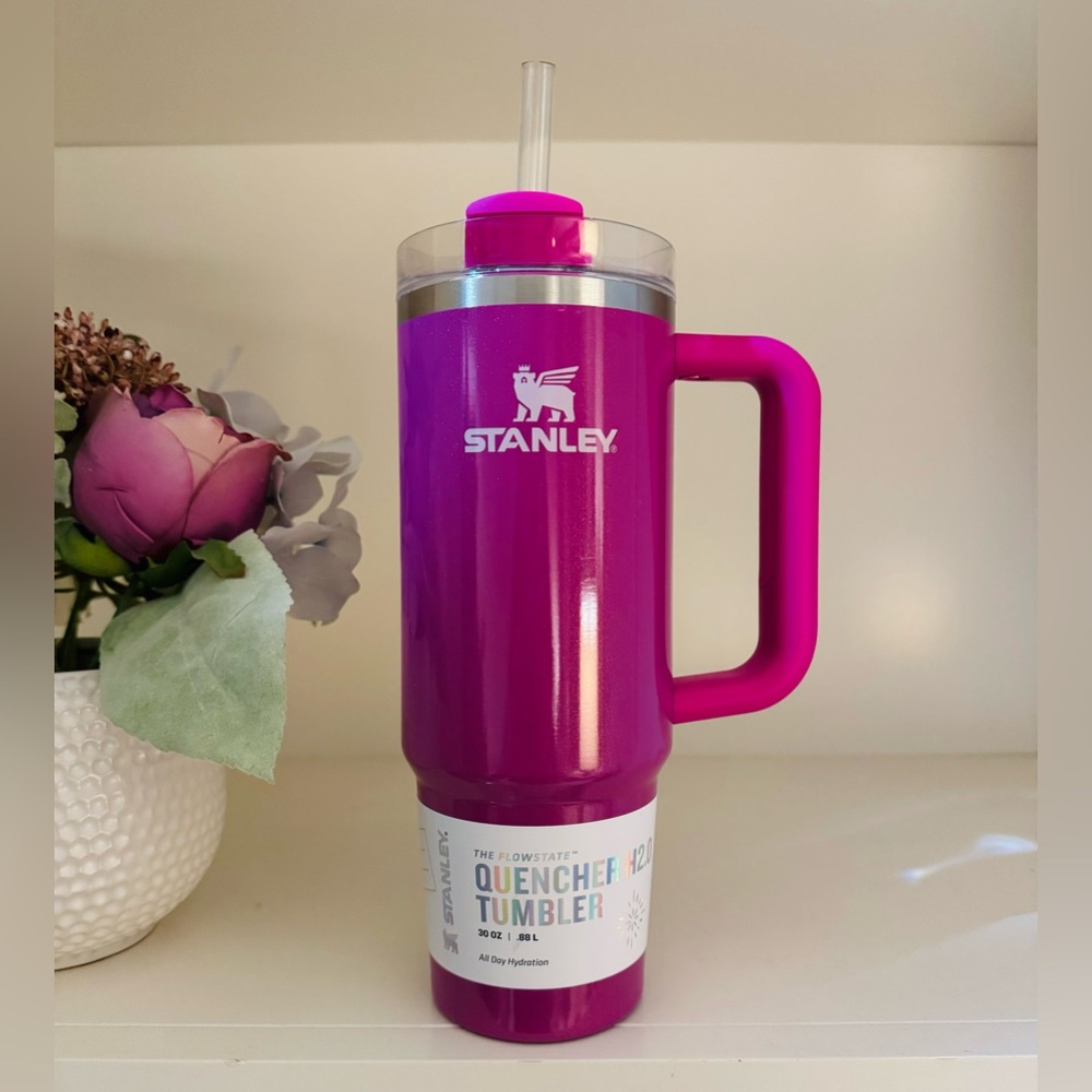 🎉LAST CHANCE🎉NWT Stanley 30oz Flowstate H2.O Quencher‎ Punch Shimmer